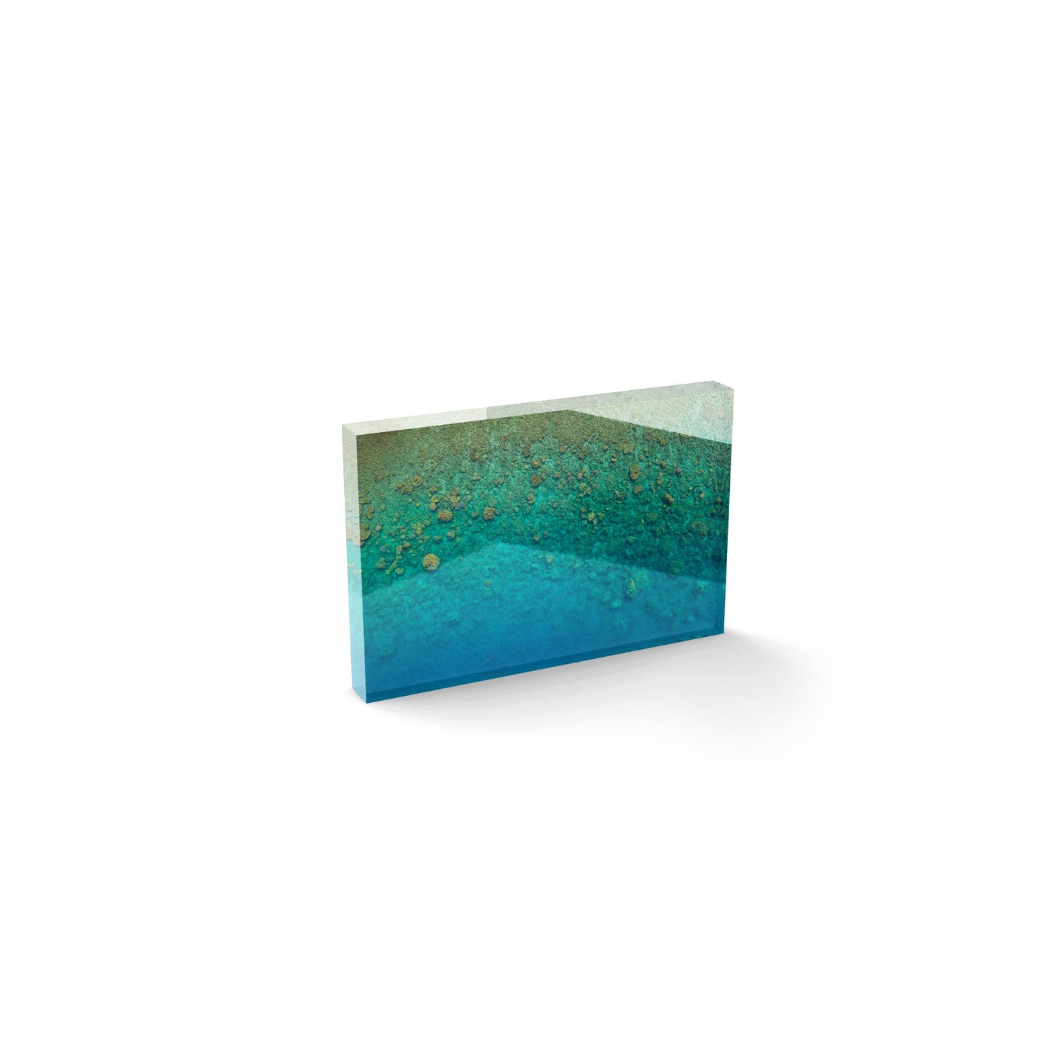 Blue Pearl Bay Coral - Acrylic ICE Block