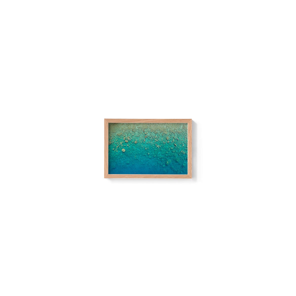 Blue Pearl Bay Coral - Framed Print