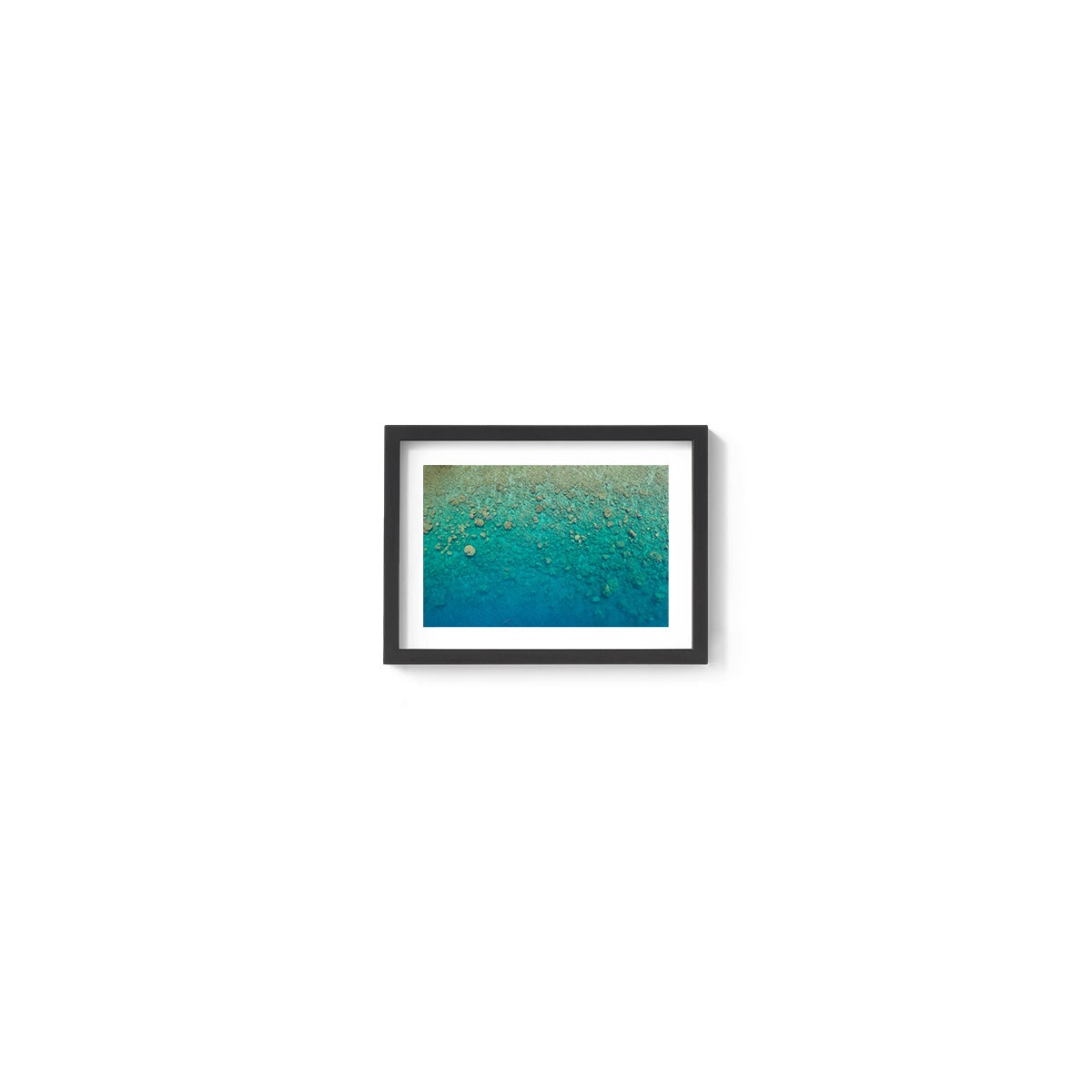 Blue Pearl Bay Coral - Framed Print