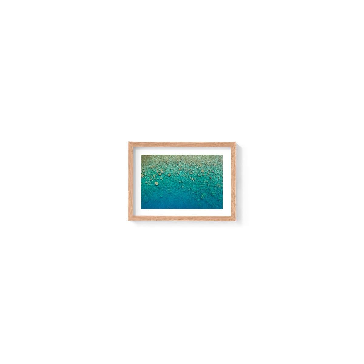 Blue Pearl Bay Coral - Framed Print