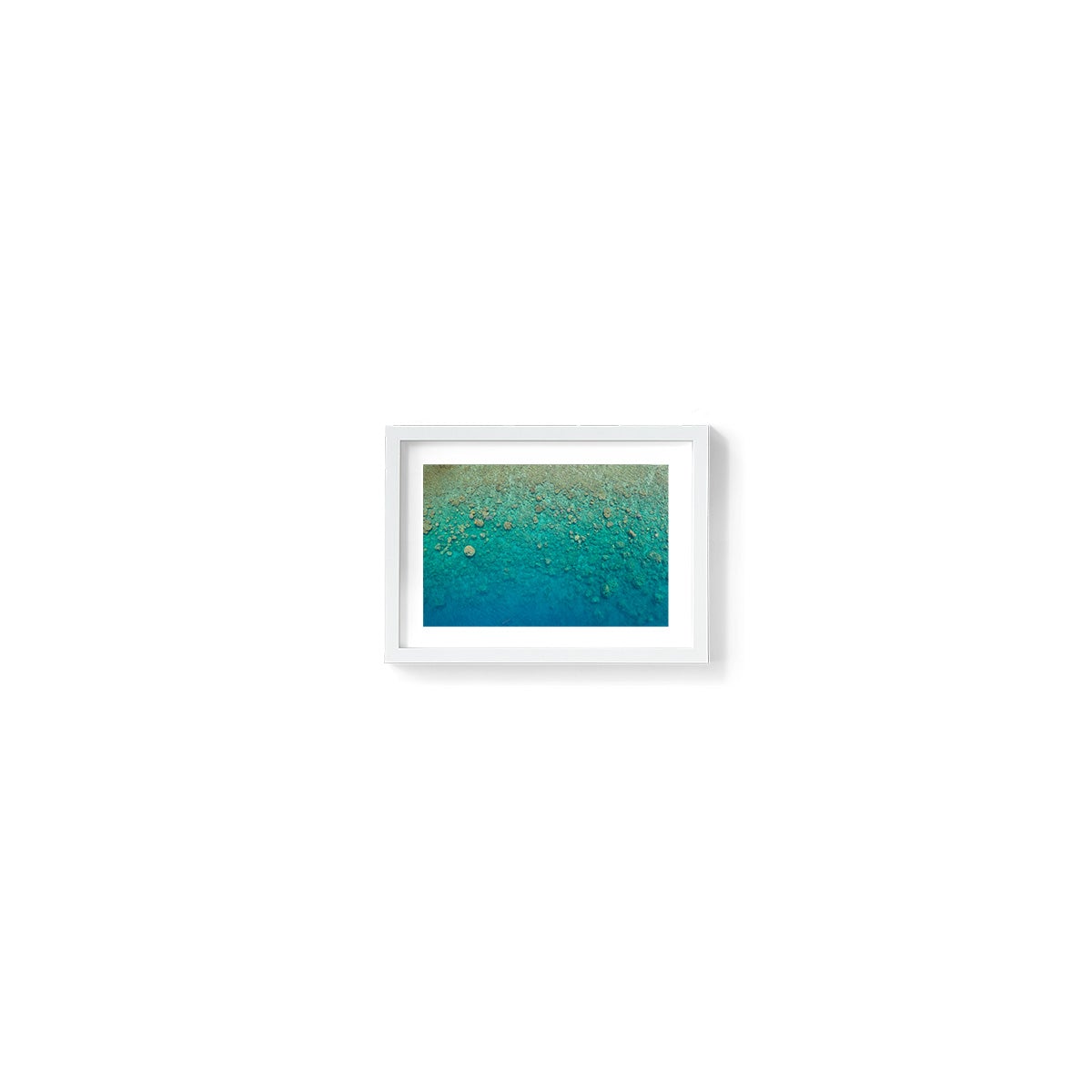 Blue Pearl Bay Coral - Framed Print