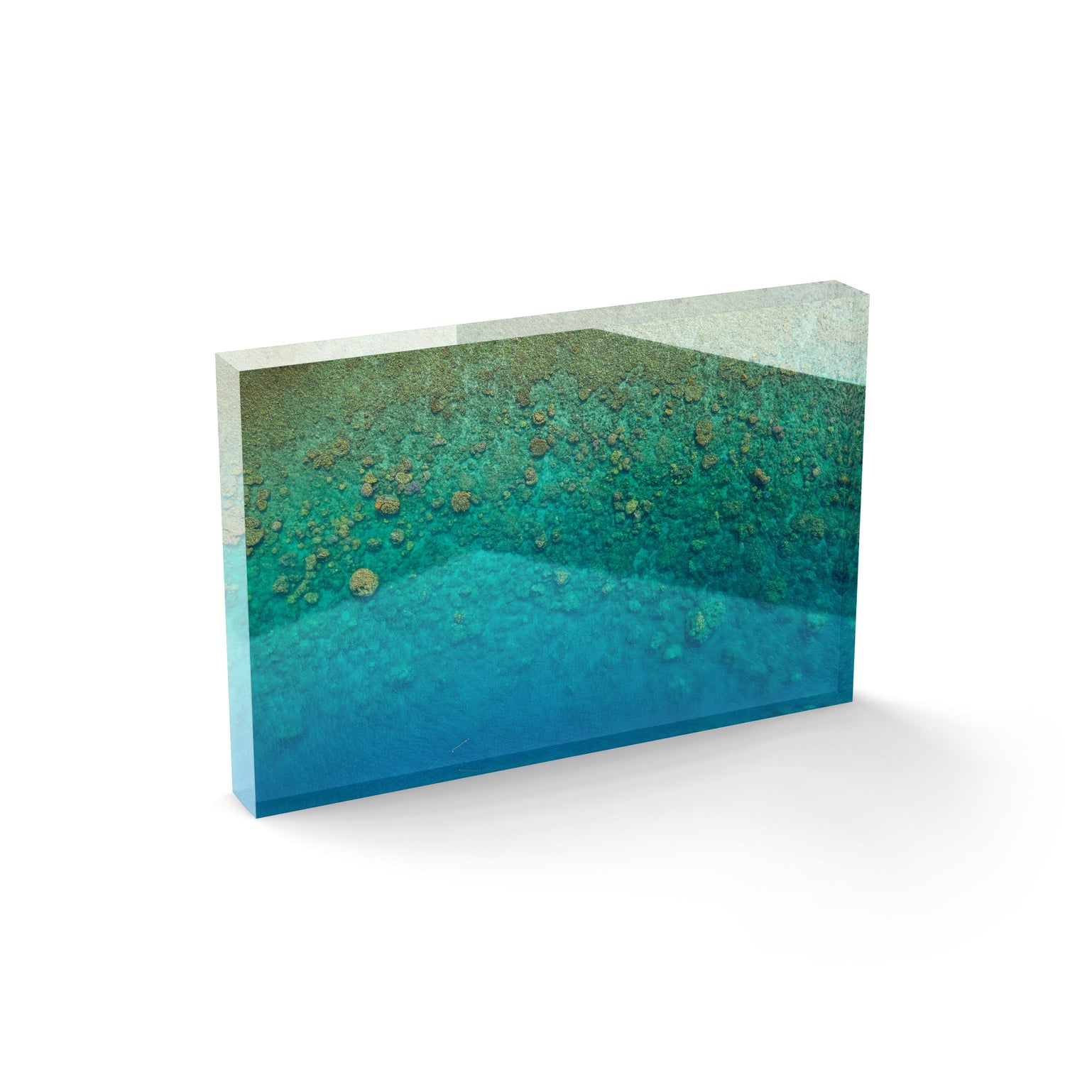 Blue Pearl Bay Coral - Acrylic ICE Block