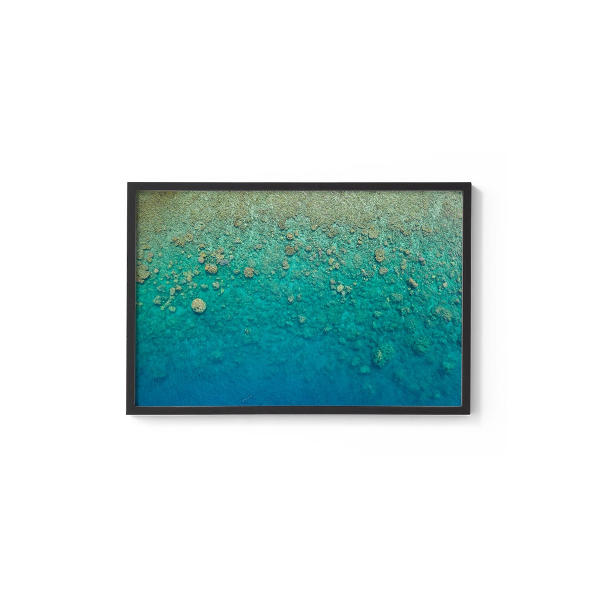 Blue Pearl Bay Coral - Framed Print