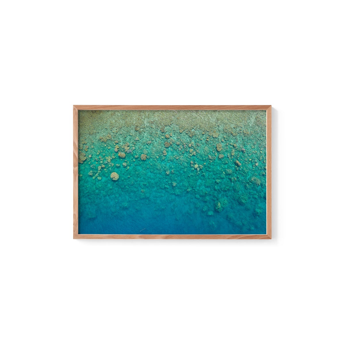 Blue Pearl Bay Coral - Framed Print