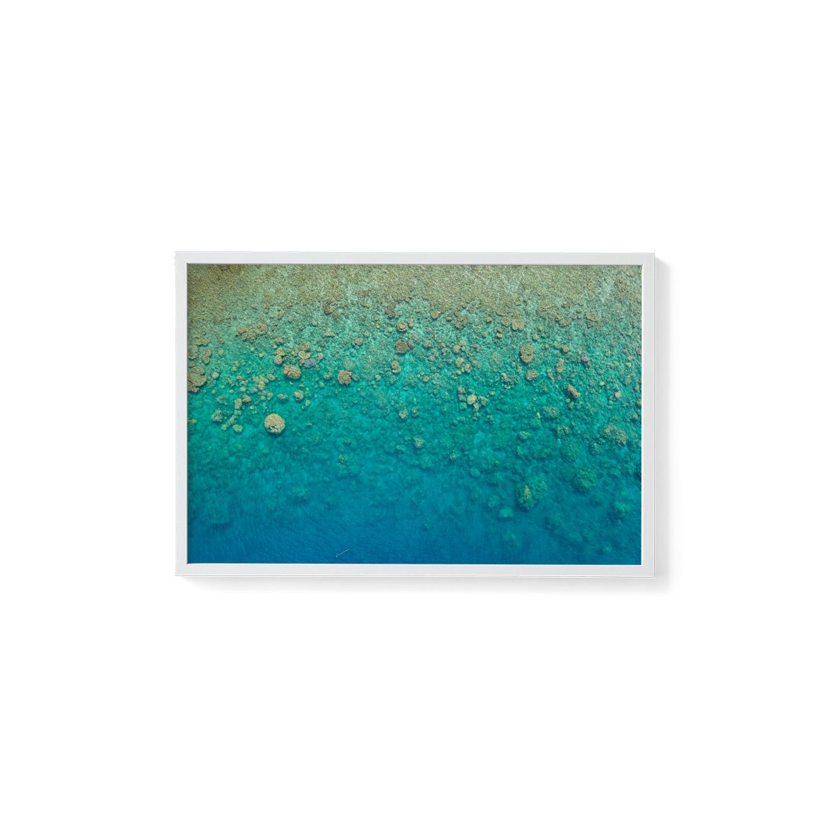 Blue Pearl Bay Coral - Framed Print