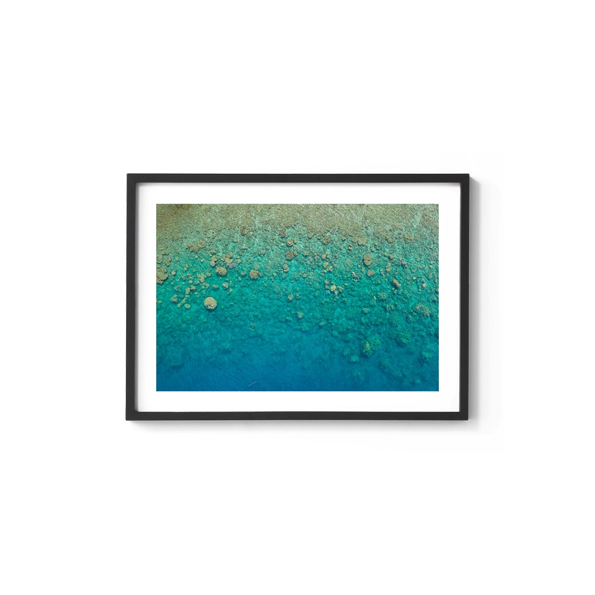 Blue Pearl Bay Coral - Framed Print