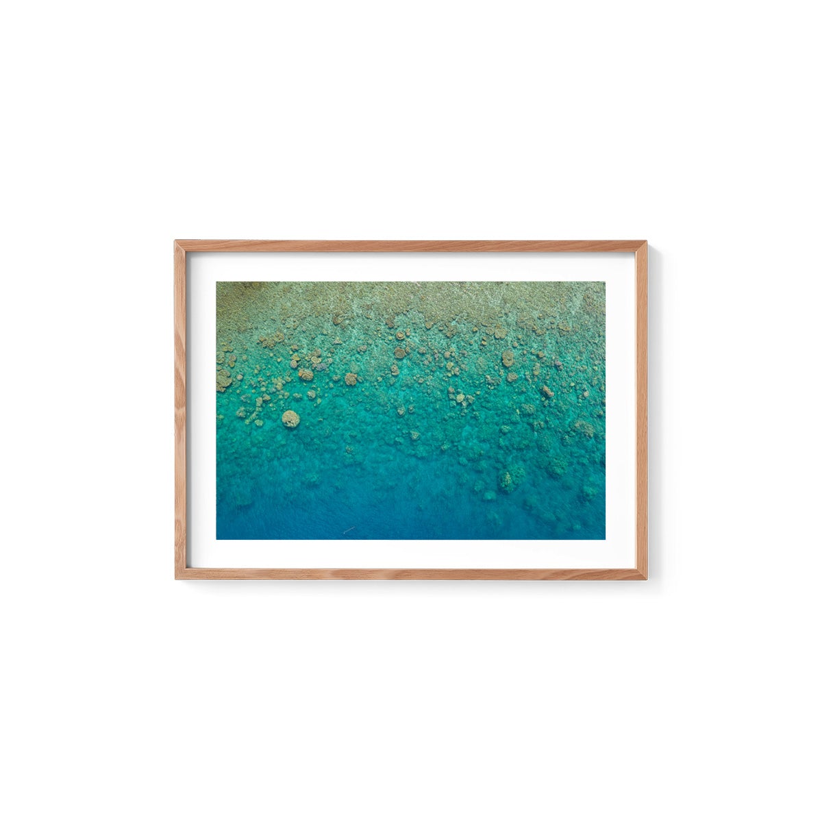 Blue Pearl Bay Coral - Framed Print