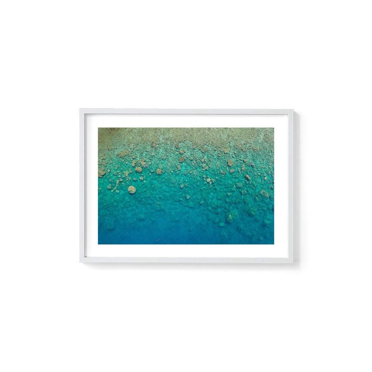 Blue Pearl Bay Coral - Framed Print