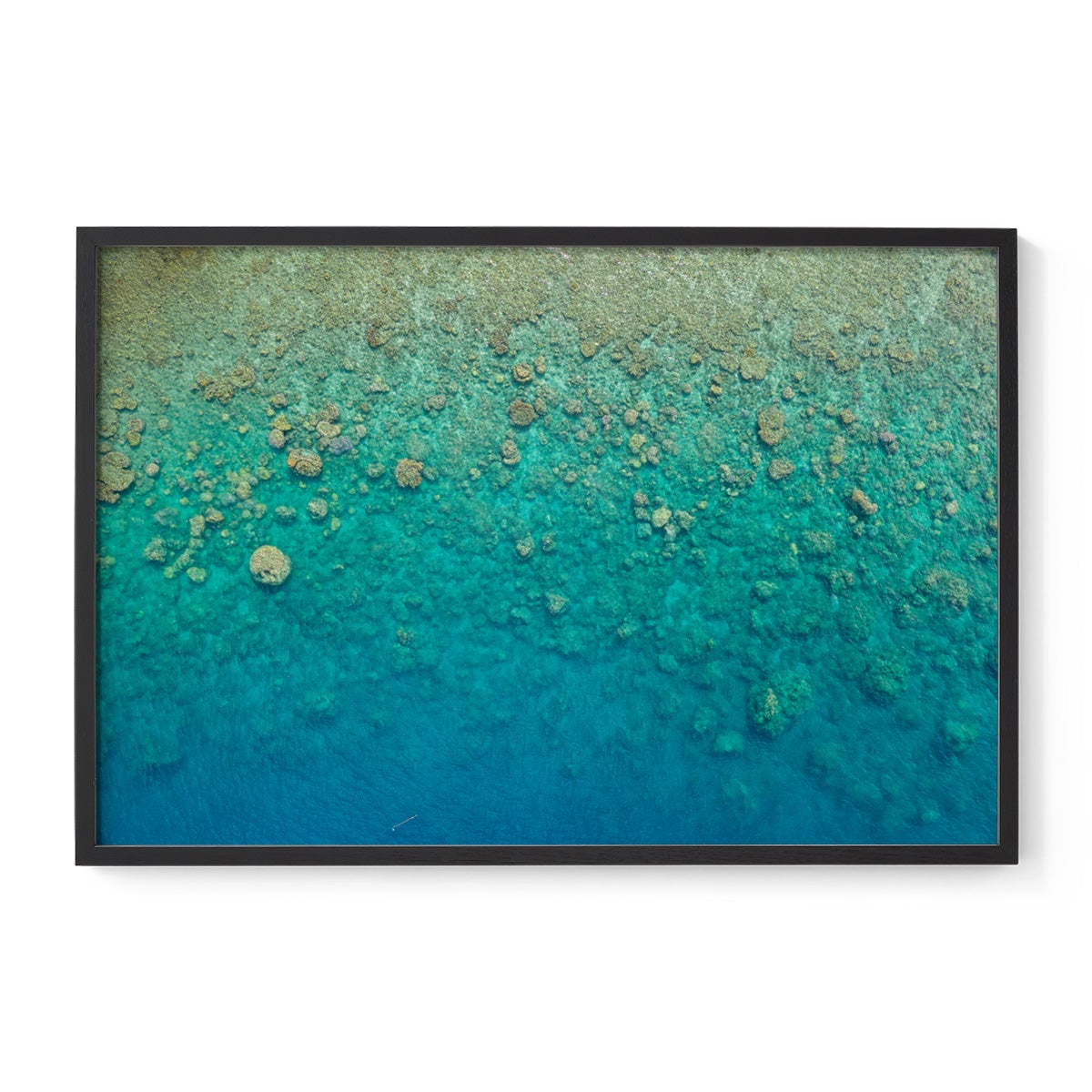 Blue Pearl Bay Coral - Framed Print