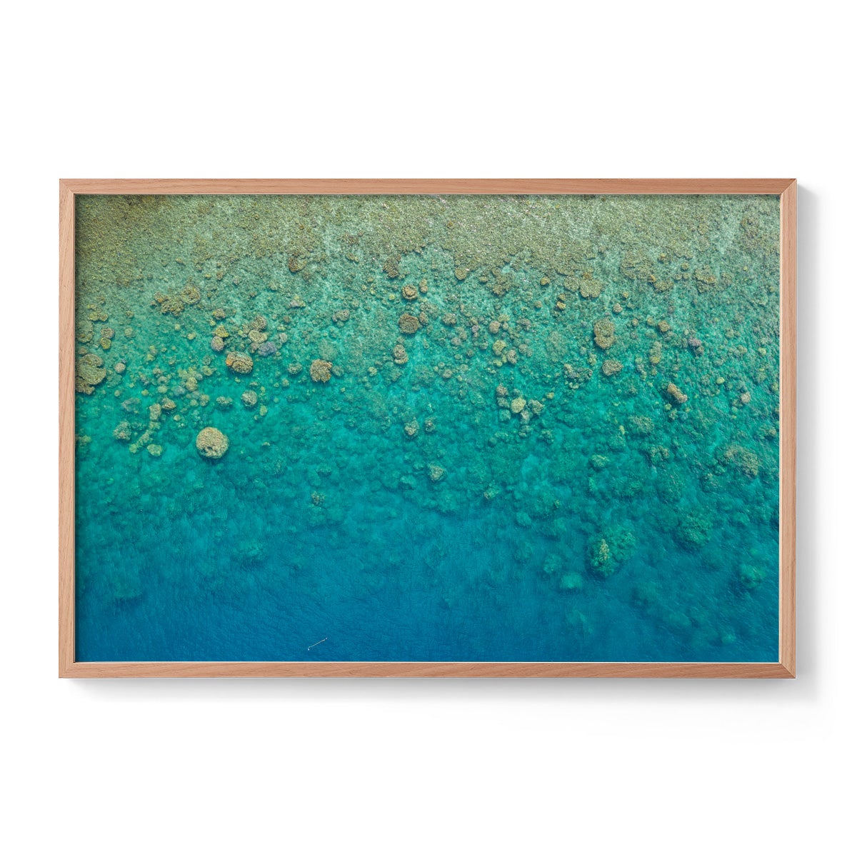 Blue Pearl Bay Coral - Framed Print