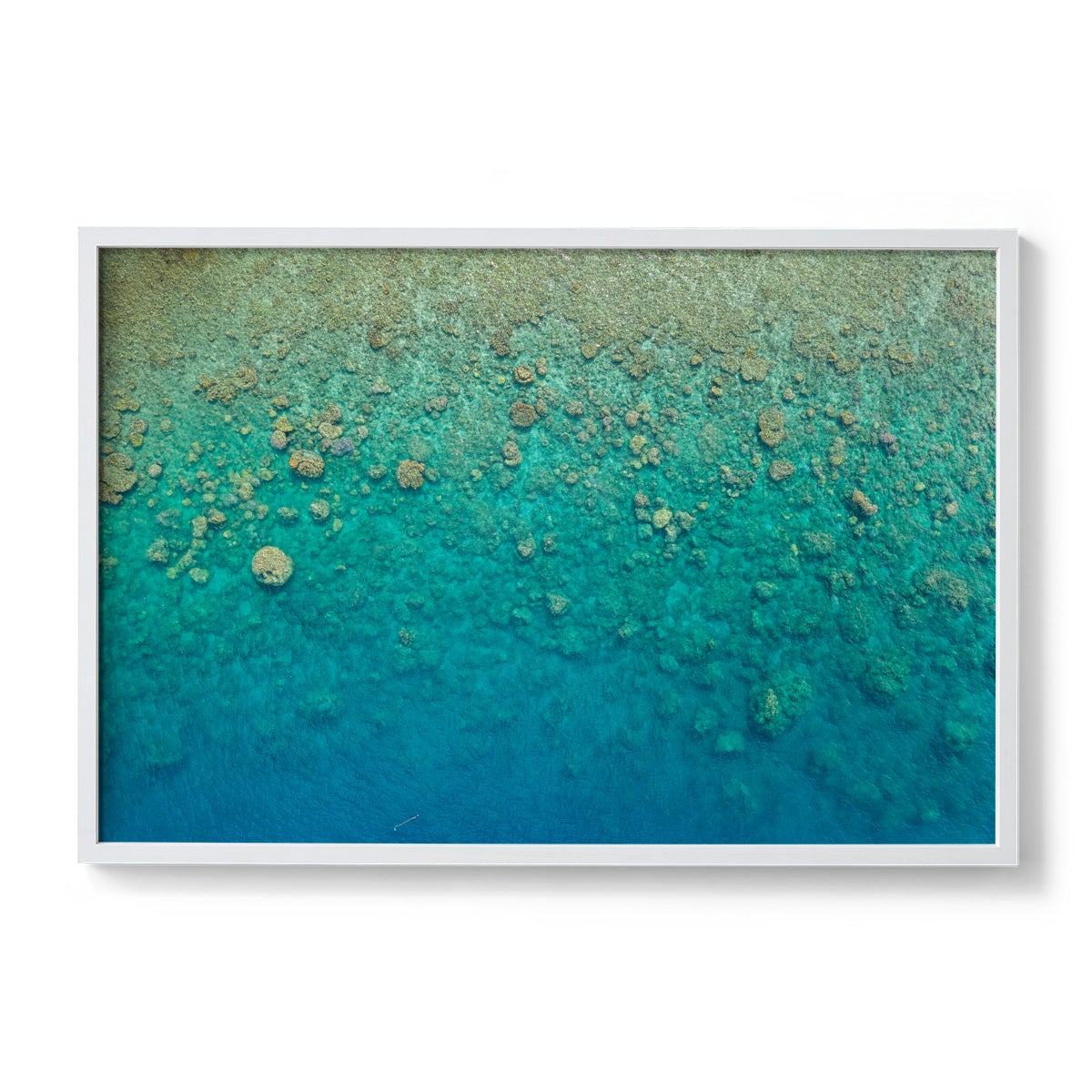 Blue Pearl Bay Coral - Framed Print