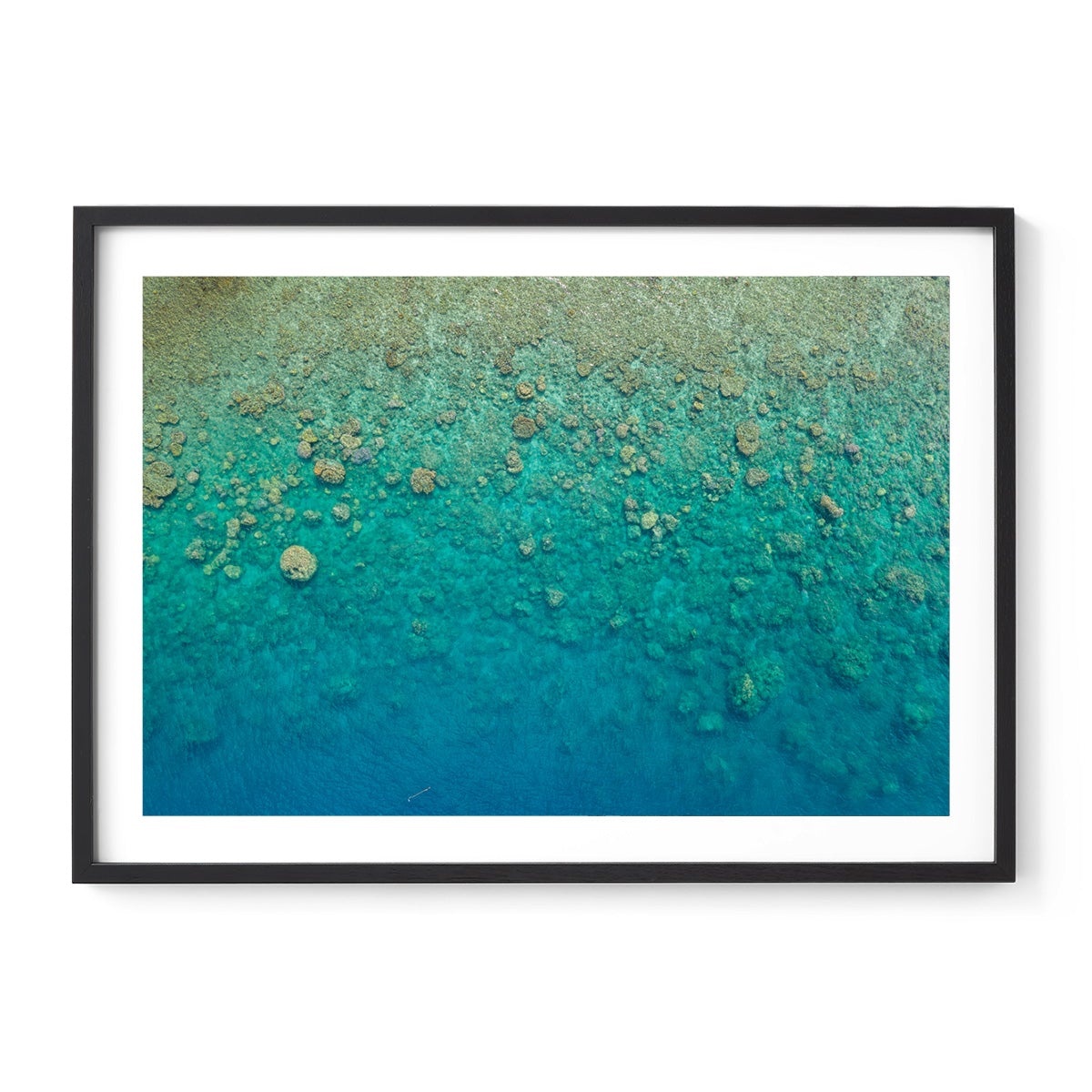 Blue Pearl Bay Coral - Framed Print