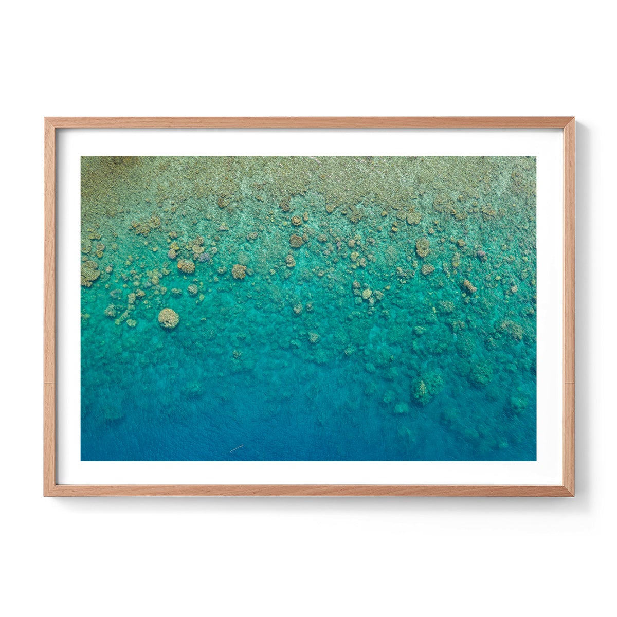 Blue Pearl Bay Coral - Framed Print