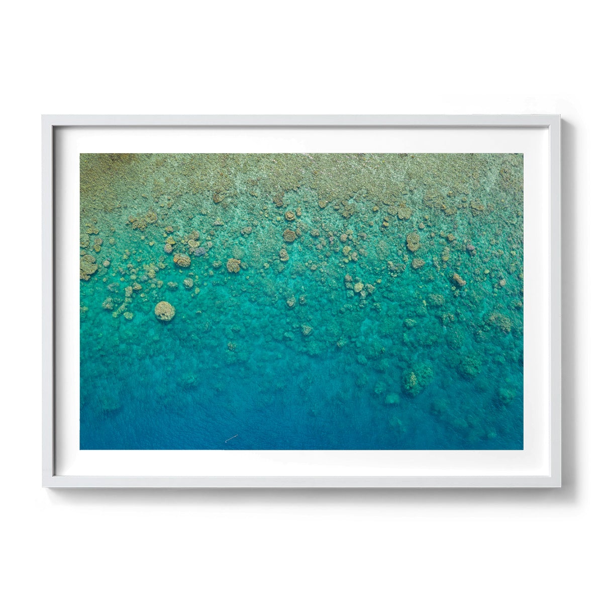 Blue Pearl Bay Coral - Framed Print