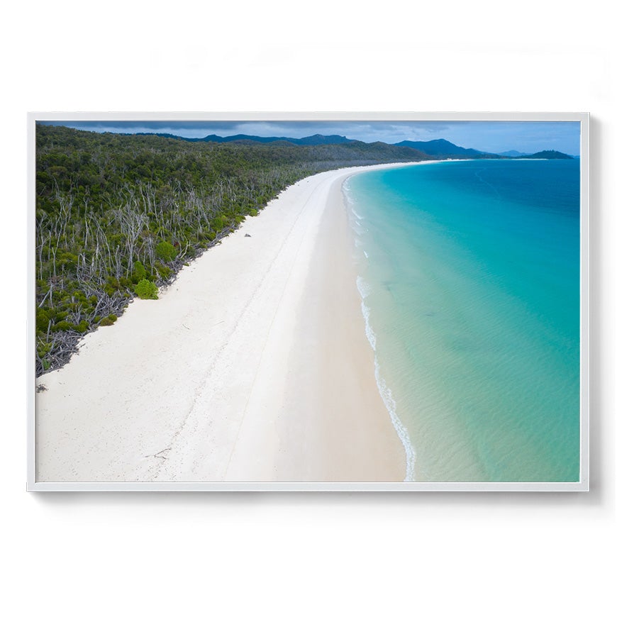 Whitehaven Beach and Forest View - Framed Print