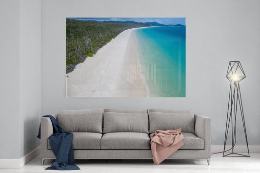 Whitehaven Beach and Forest View - Acrylic Print