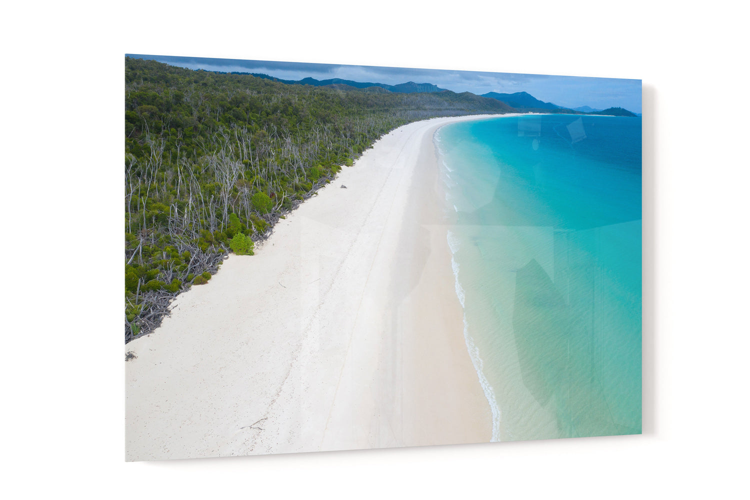 Whitehaven Beach and Forest View - Acrylic Print