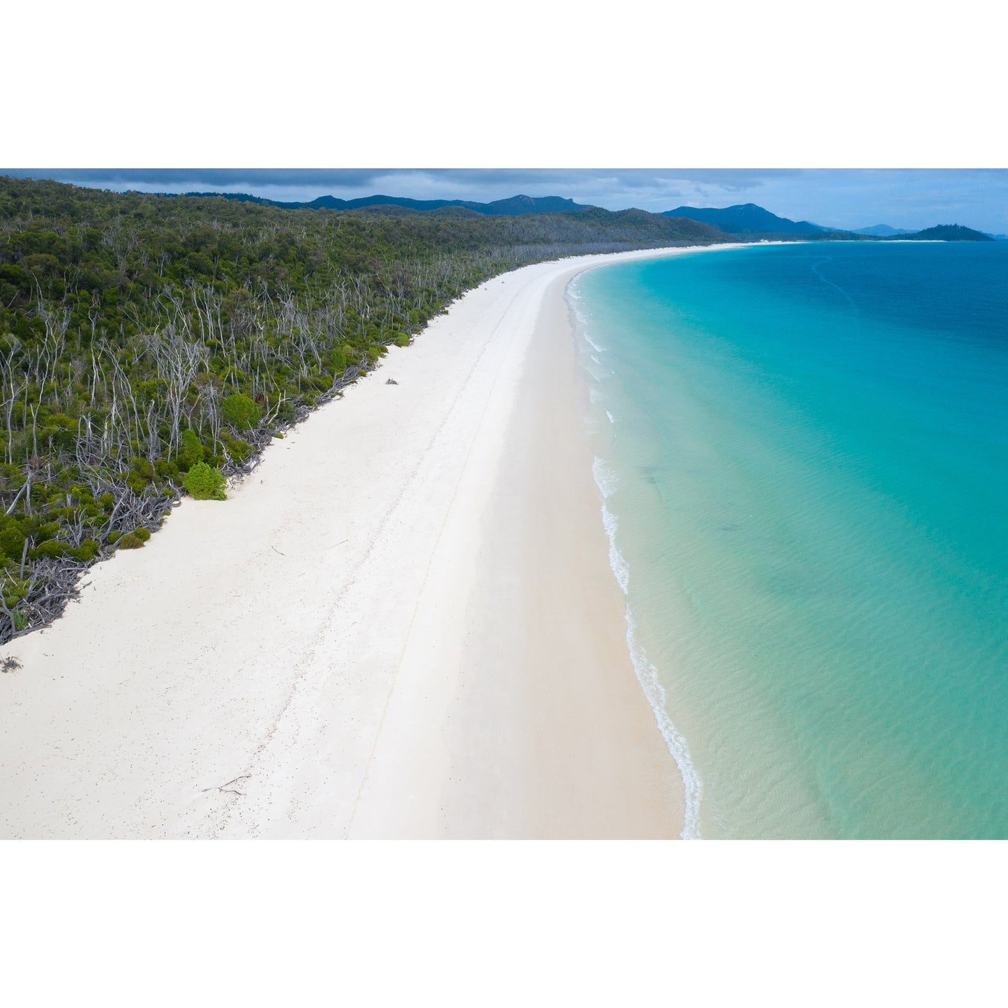 Whitehaven Beach and Forest View - Framed Print