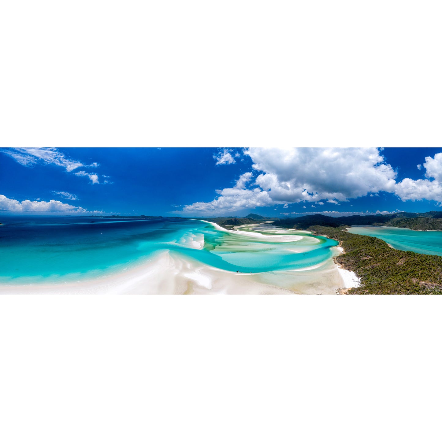 Hill Inlet, Whitsunday Island - Panoramic Acrylic Print