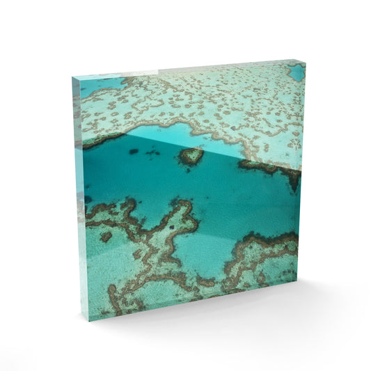 Heart Reef - Square Acrylic ICE Block