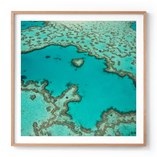 Heart Reef - Square Framed Print